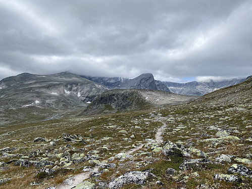 Etter en drøy times anmarsj fra Snøheim får vi Inste Svånåkollen og Bruri i syne