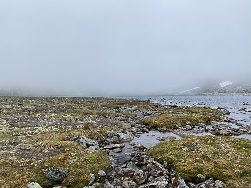 Ved utløpet av Fisketjørna, hvor det var rikt fugleliv denne dagen