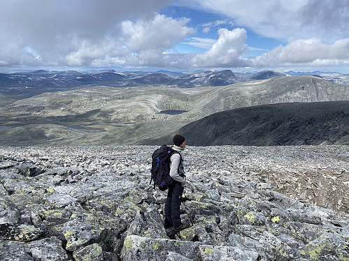 Nordvestlig utsikt mot andre kjente topper på Dovrefjell, bl.a. Drugshø, Storskrymten og Vesleskrymten til høyre i bildet