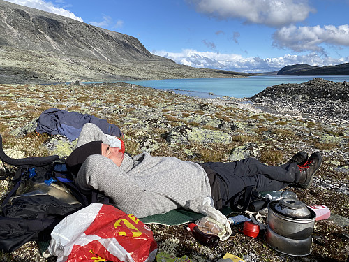 Det gode livet på Dovrefjell!