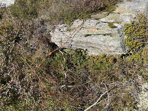 Rammer for korger til pakkar