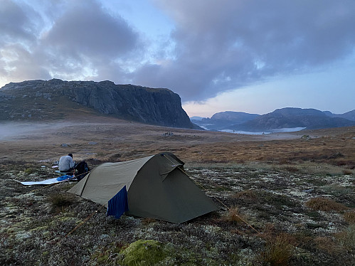 Morgonstemning på Brogaheia, med trolsk skodde over myrer og vatn