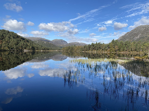 Idyll ved Forenesvatnet IV