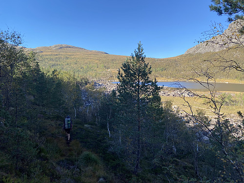 Me nærmar oss stemmen i Longavatnet/Vardhustjødnane 