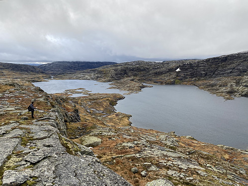 Mot Hallet-grøne-tjørnene