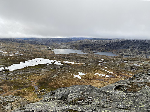 Mot Hallet-grøne-tjørnene