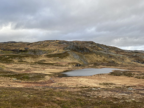 Idyllisk tjørn nedenfor Dyrskar