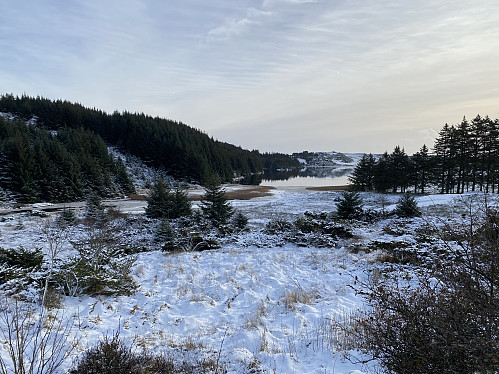 Mot Vassenden nord i Hilleslandsvatnet