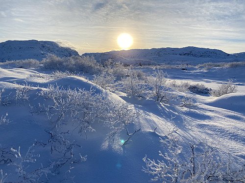 Herlig desembersol over Dyrskarheia!