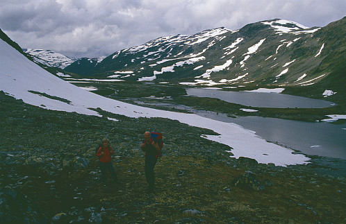 Ved tjørnane på om lag 1300moh øvst i Skogadalen