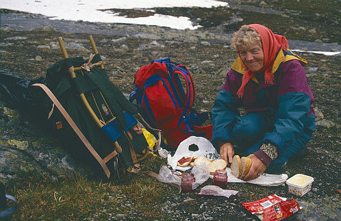 Matpause ved stidelet ved Langvatnet