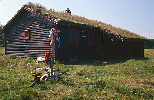 Den gamle hytta på Bleskestadmoen - ikkje nettopp musefri!
