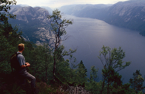 Utsikt innover fjorden