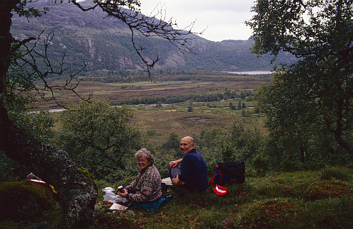 Ved Ottestøl