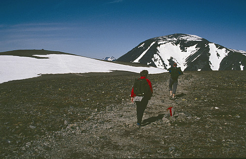 Toppen på Veslefjellet er i sikte!