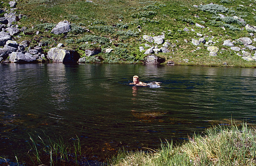 Avkjøling