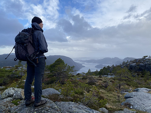 På Svadbergfjellet med utsikt ut Årdalsfjorden