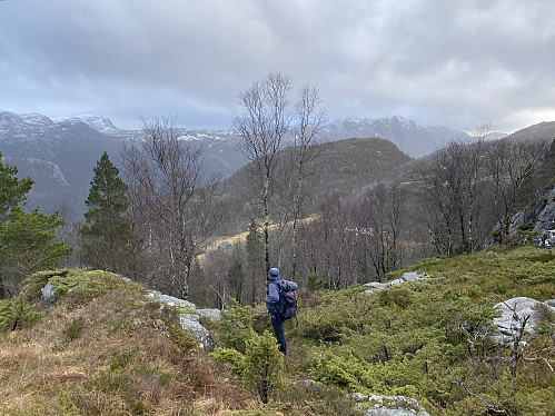 På veg ned til Driftland med Skorpefjellet dominerande. Krunefjell og Reinaknuten reiser seg på andre sida av dalen
