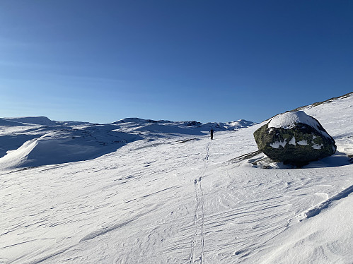 Mot Borddalsnuten og Kyrkjenuten