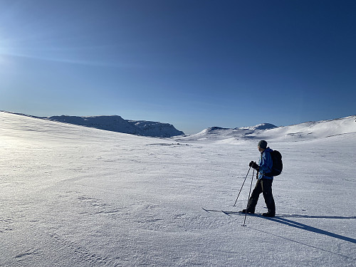 Mot Kyrkjenuten