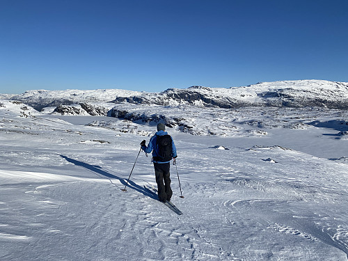 Retur mot Fljådalsvatnet med Krossfonnutane som bakteppe