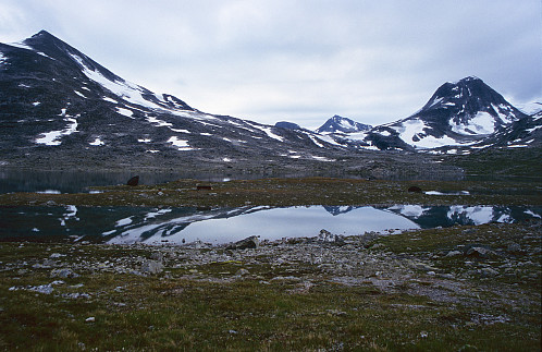 Mot Skarddalstinden og Austre Rauddalstind