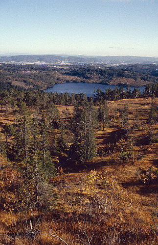 Haustfargar i Bymarka I