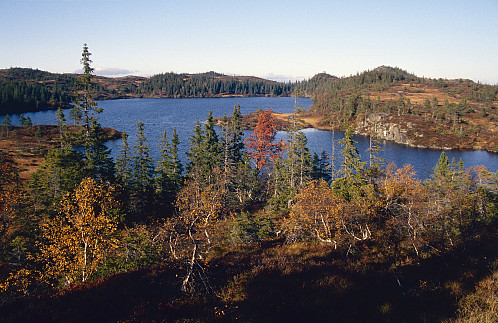 Haustfargar i Bymarka II