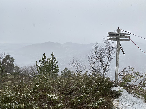 Store snøflukser på toppen