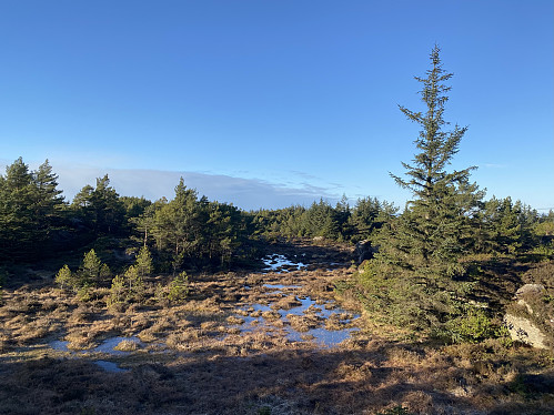 Myr like nord for Medfjellsvarden