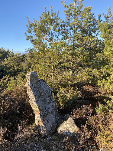 «Fornminne» 200m nord for Medfjellsvarden. Det er i alle fall menneskeskapt, men kva tid?