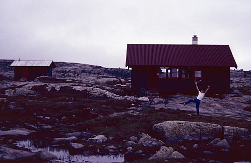 Ablegøyer ved hytta