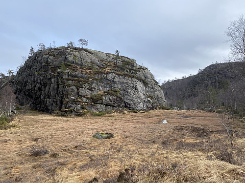 Myr etter stidelet like bak Bergstølen
