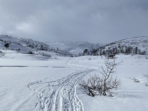 Fine forhold oppover bekkedalen mot Oddavarden