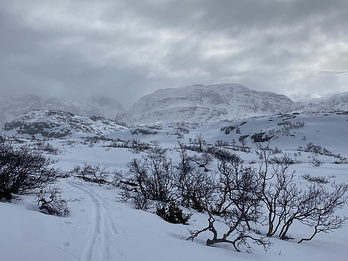 Mot Haugsnuten og Histeinsnuten