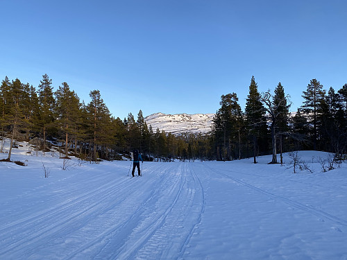I fint driv langs skutersporet oppover Berdalen