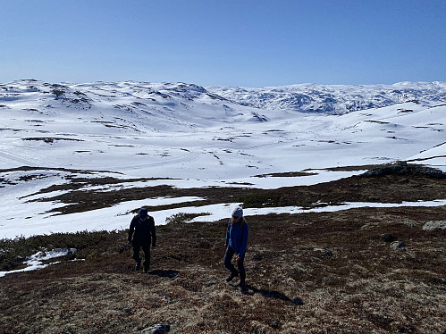 Siste stykket til topps gikk på beina i den snøfrie sørhellinga