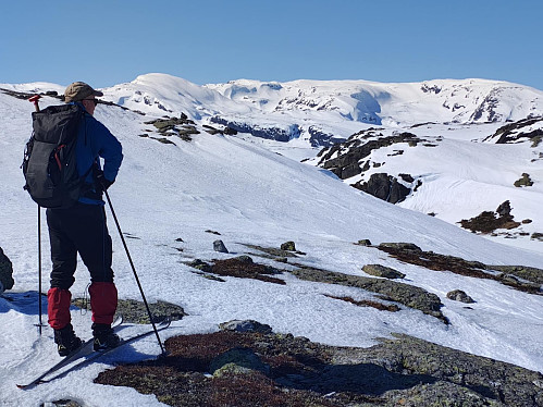 Oppunder toppen av Skardseggi med utsikt mot Skåfonnskardet og Vassdalseggen