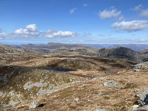 Utsikt nordover mot Bynuten og Kjørkjestadfjellet. Aller bakerst er Reinaknuten og Naganibba m.fl. topper i Jørpelandsheia kjenneslige