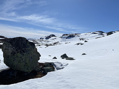 Mot Grøhovdnuten