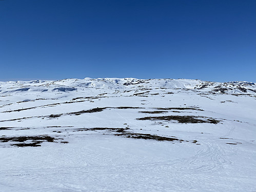 Utsikt mot Skardseggi, Kjelatind og Vassdalseggen bakerst