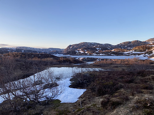 Nordlig utsikt fra hytta med Taumevassknuten dominerende