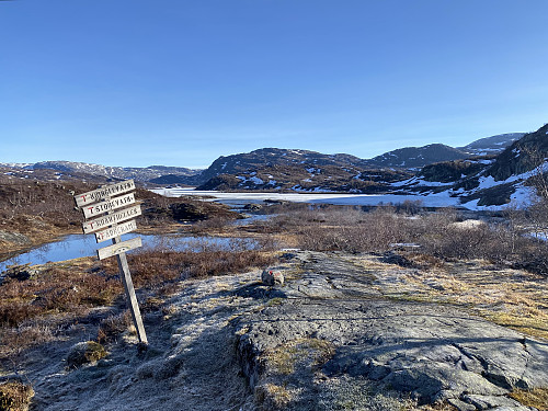 Nordlig utsikt fra hytta med Taumevassknuten dominerende i midten