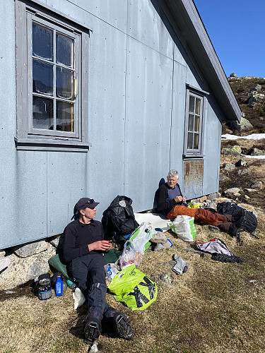 Nesten sommerlig i hytteveggen på 1000moh!