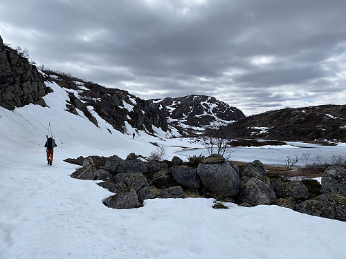 Retur på snøfelt II