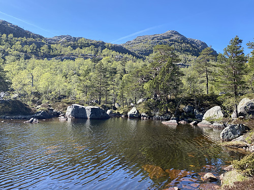 Ved dei øvre Godlitjødnane under høgreiste Godlifjellet