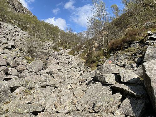Turstart opp gjennom steinura!