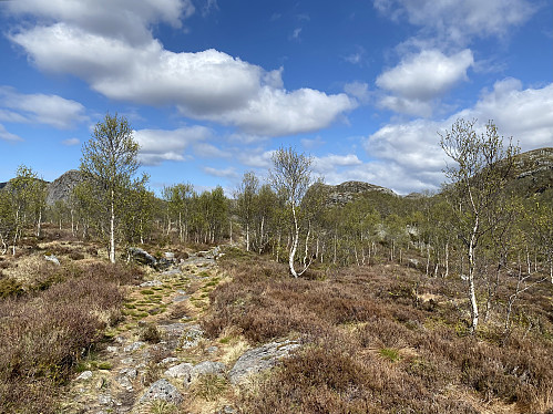 Oppe på første høydedraget åpner landskapet seg, og endatil turmålet stikker seg fram bakerst til høgre