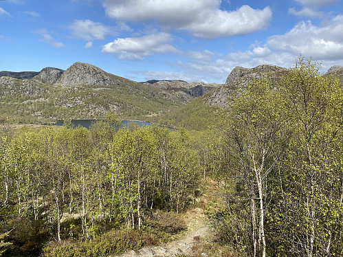 Mot Midtre Fisketjørna