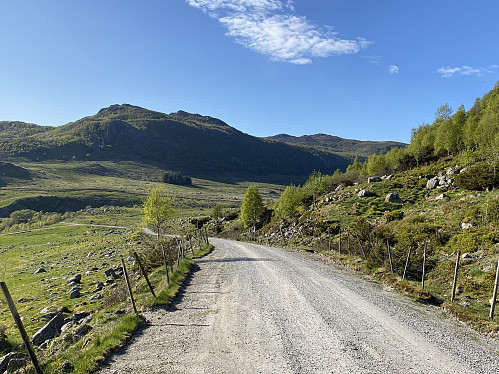 På veg ned mot Madland drar jeg kjensel på Hjelmalifjellet bak til høgre, som jeg var på for noen uker siden